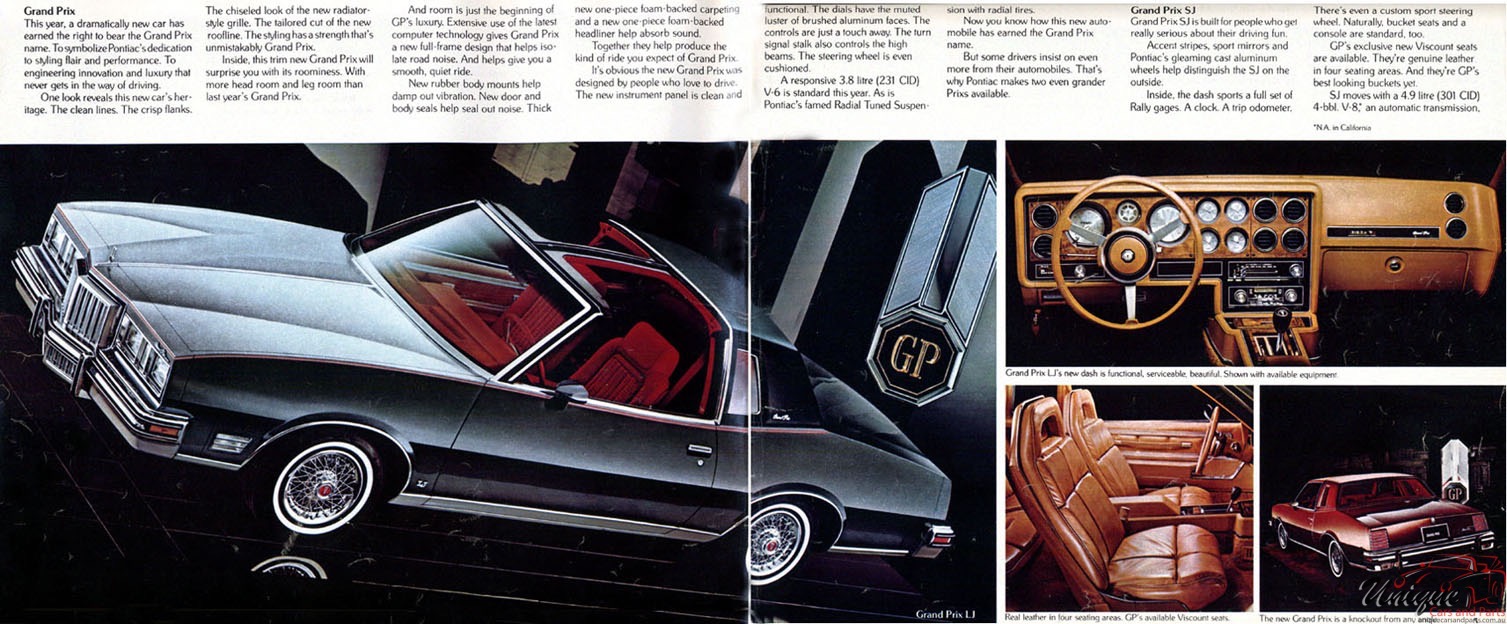 1978 Pontiac Brochure Page 19